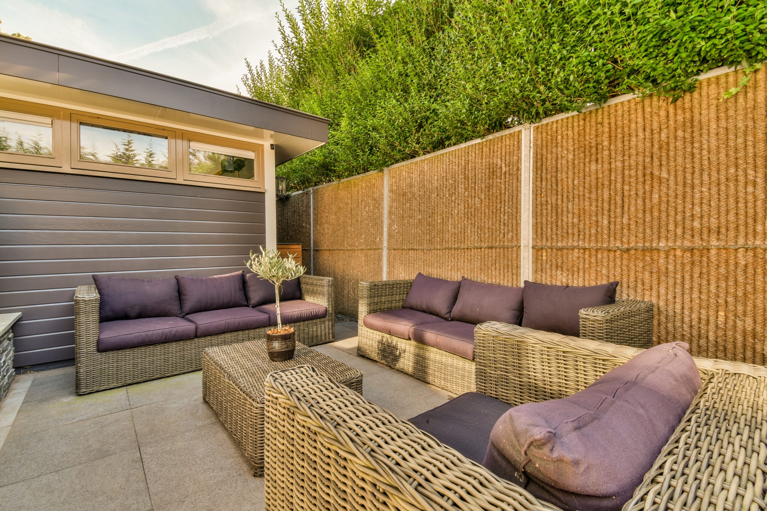 Patio and fence in garden.