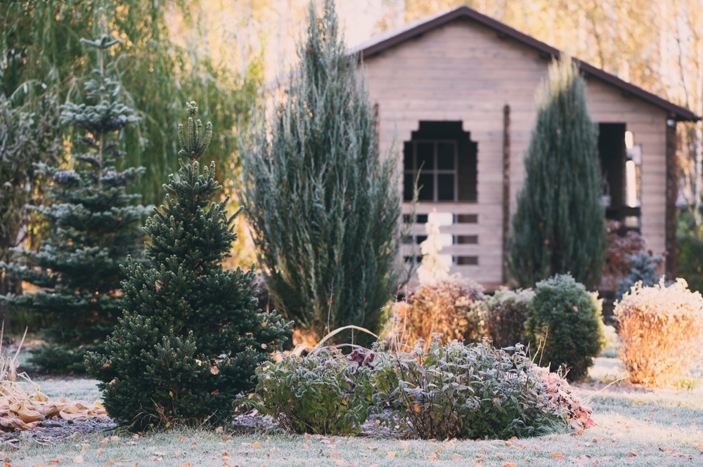 Adding Winter Interest to Your Garden: Ideas for a Year-Round Landscape